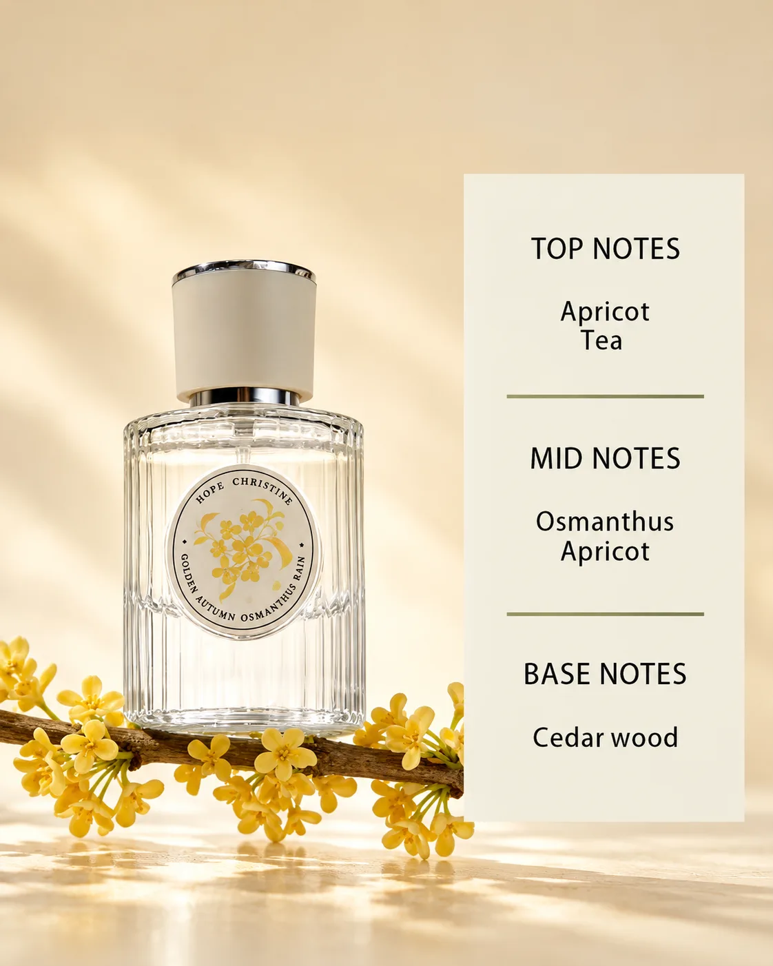 Golden Osmanthus Serenade 2
